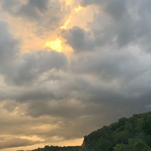 Meet your Posher, Bailey